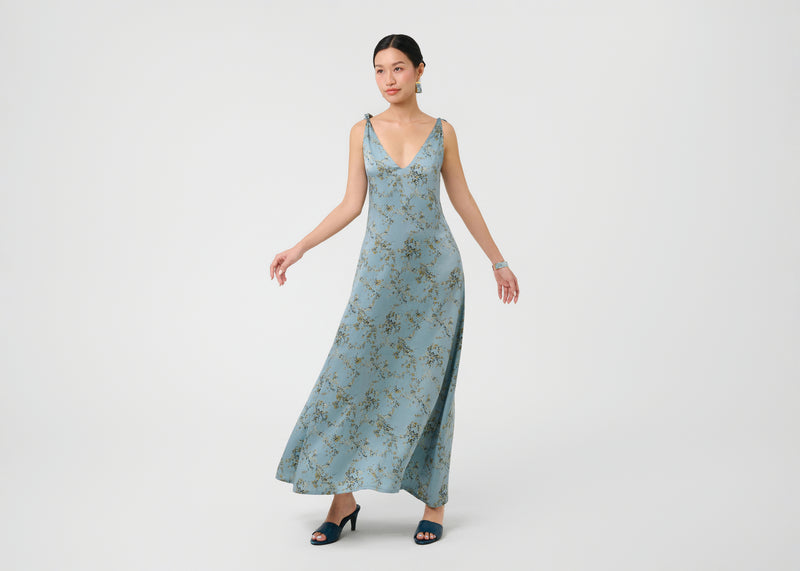 CAO LANH - FORGET-ME-NACRE