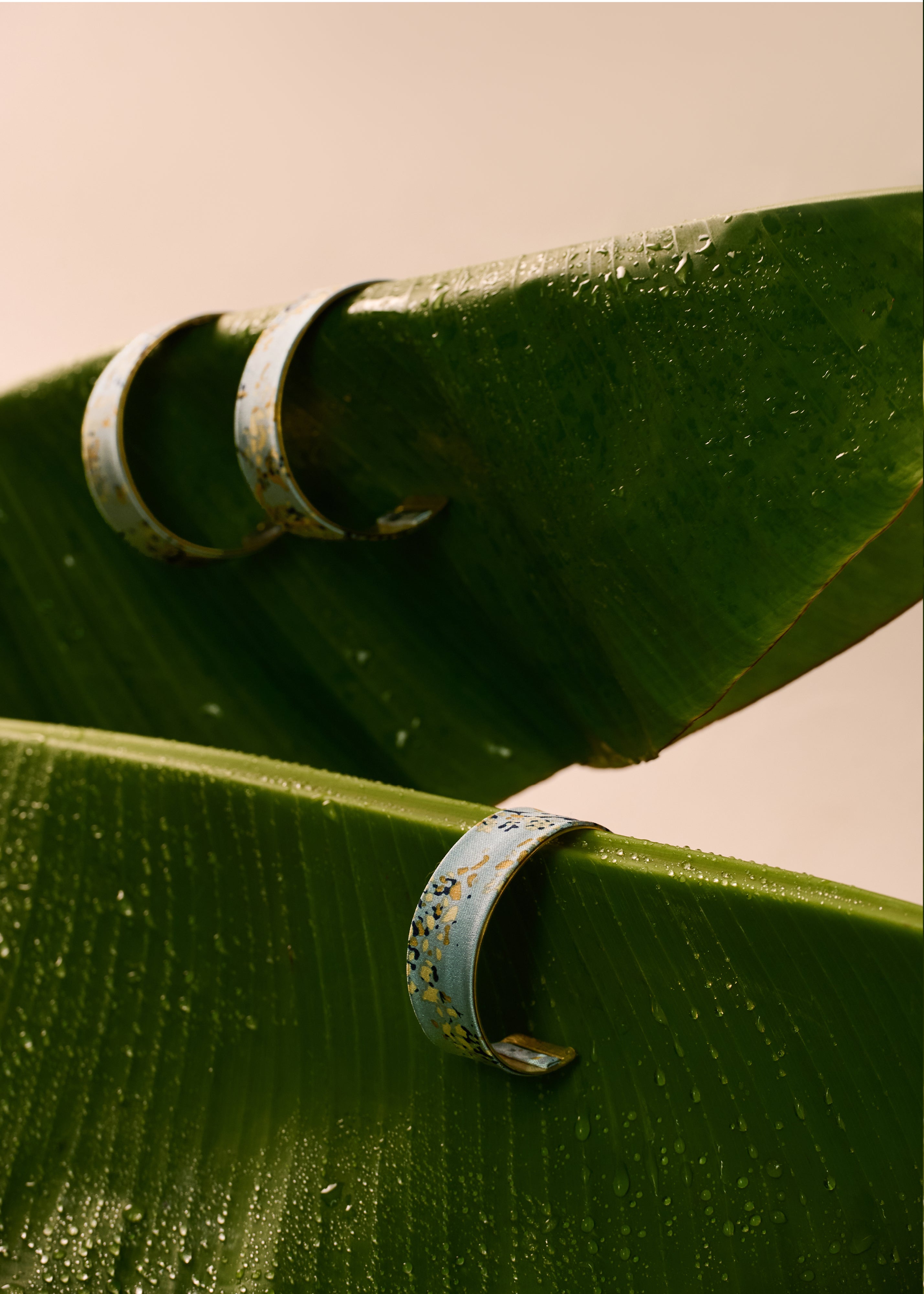 MIAO - FORGET-ME-NACRE