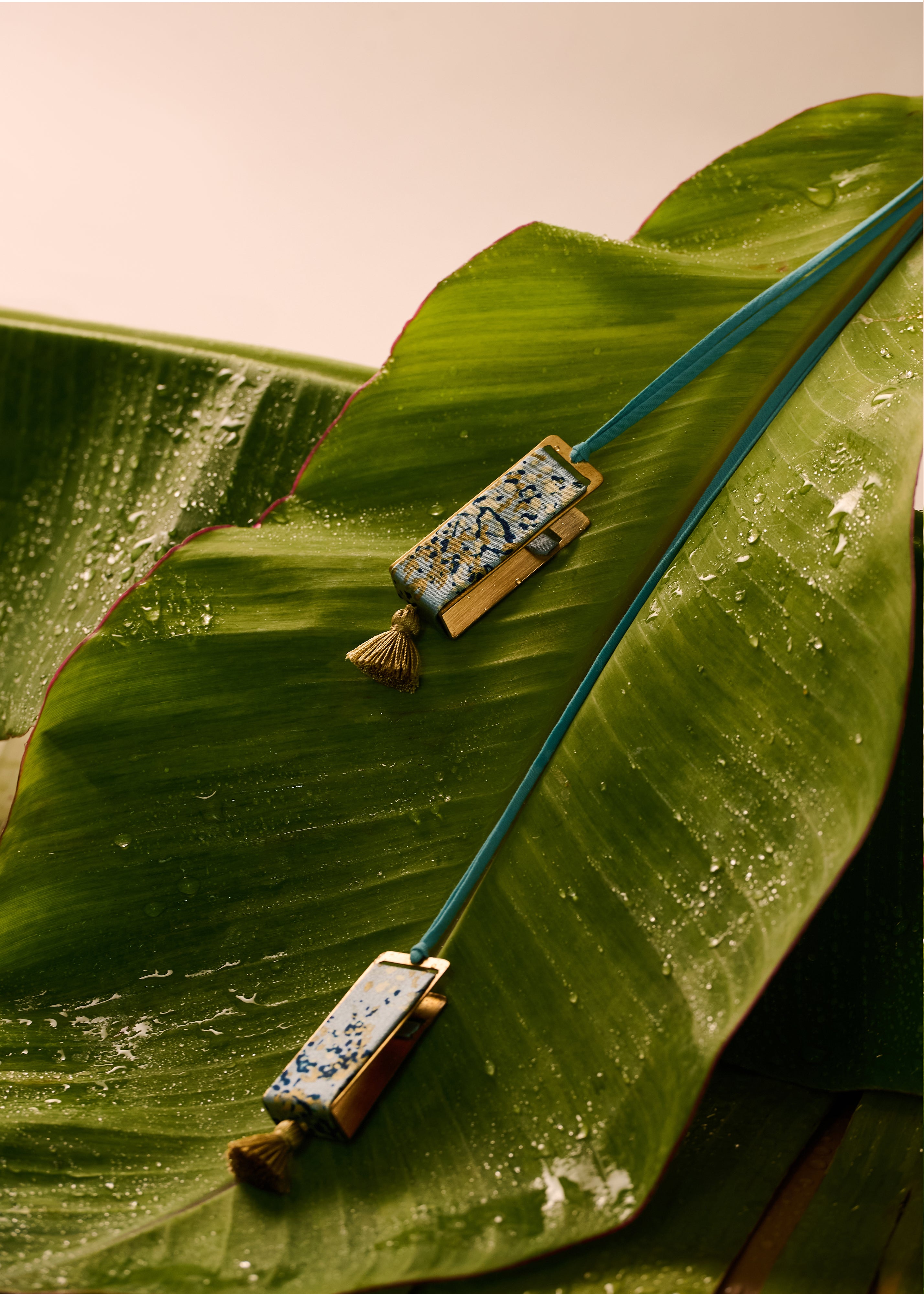 LONG - FORGET-ME-NACRE