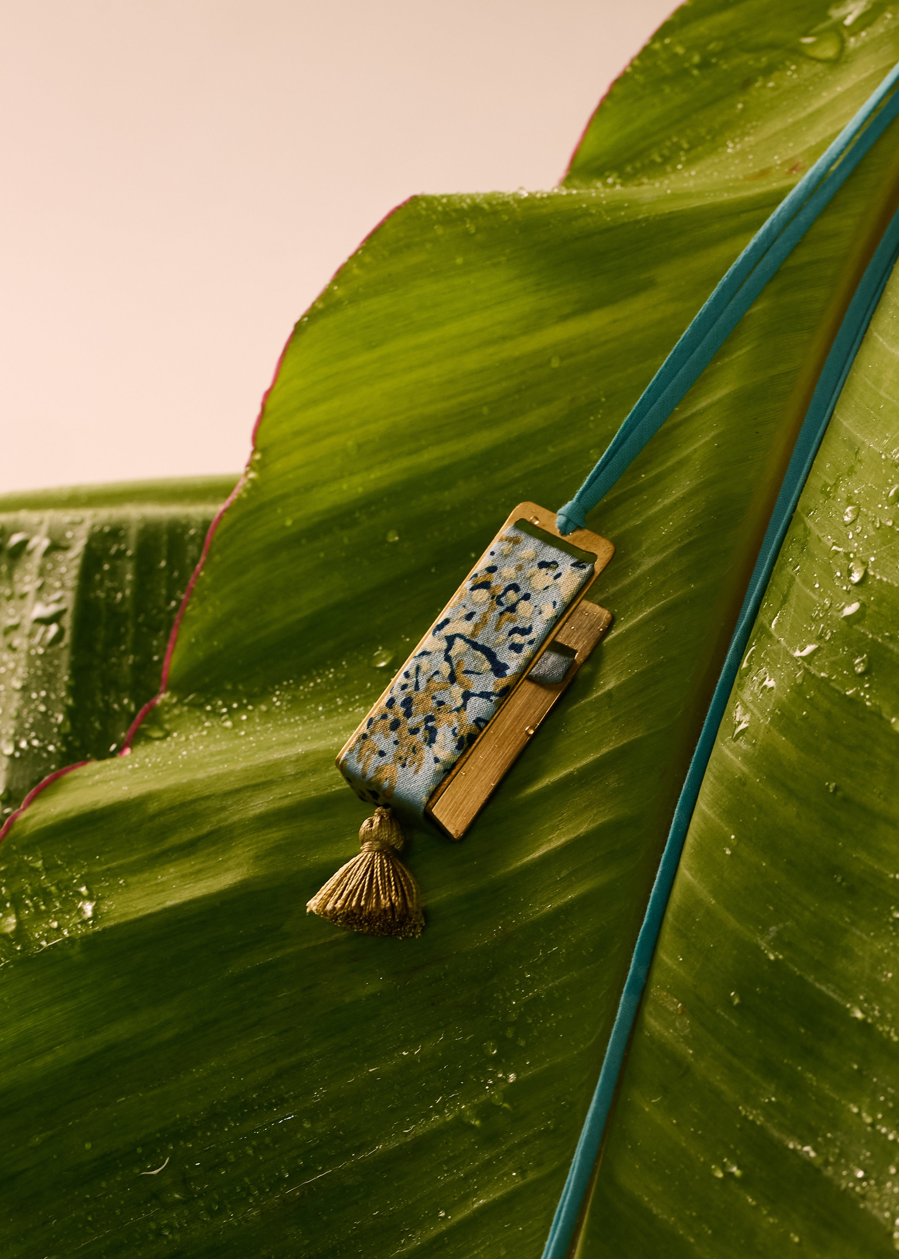 LONG - FORGET-ME-NACRE